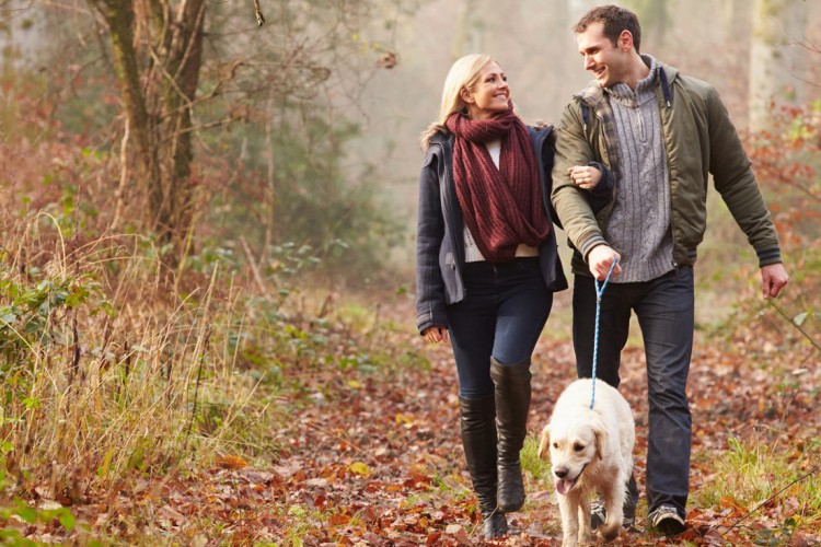 impression-mobile-img-1