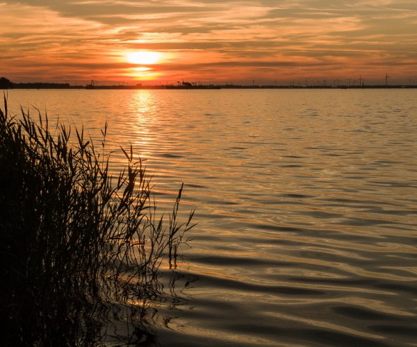 Natuur